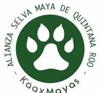 K´aax Mayas - Alianza Selva Maya de Quintana Roo U.E. de R.L.